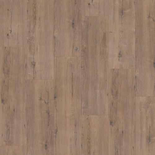 Hoomline Elite XL Schelde 60902