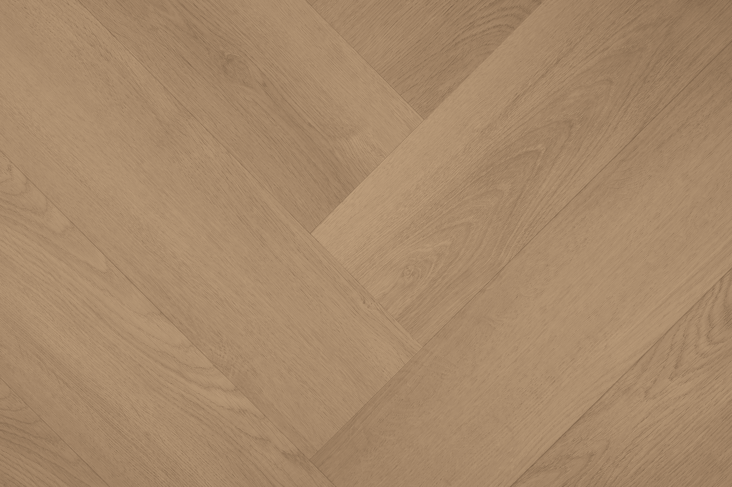 Clermont Visgraat XL 77821
