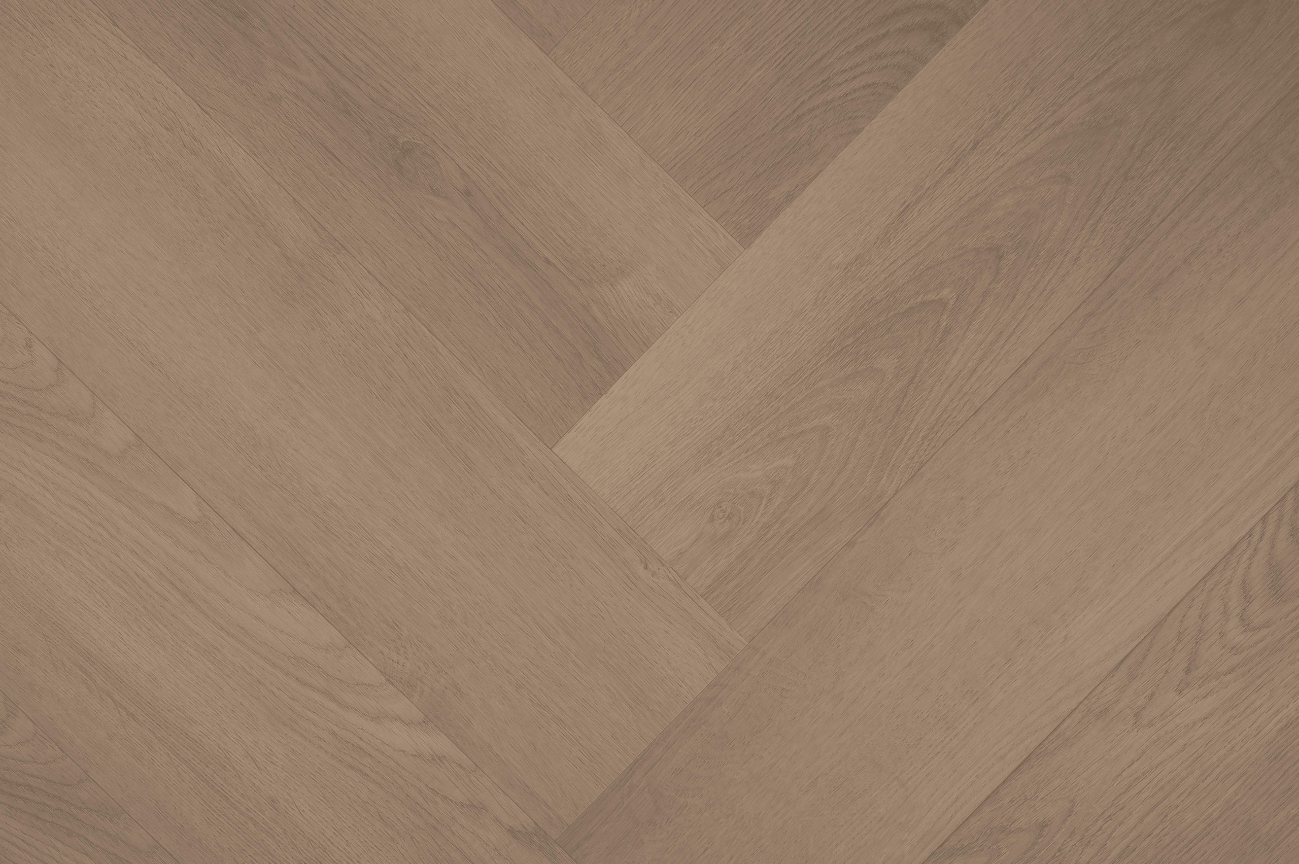 Clermont Visgraat XL 77823
