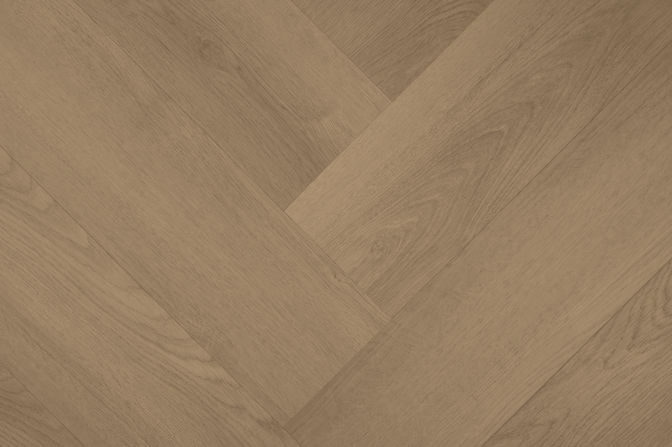 Clermont Visgraat XL 77825