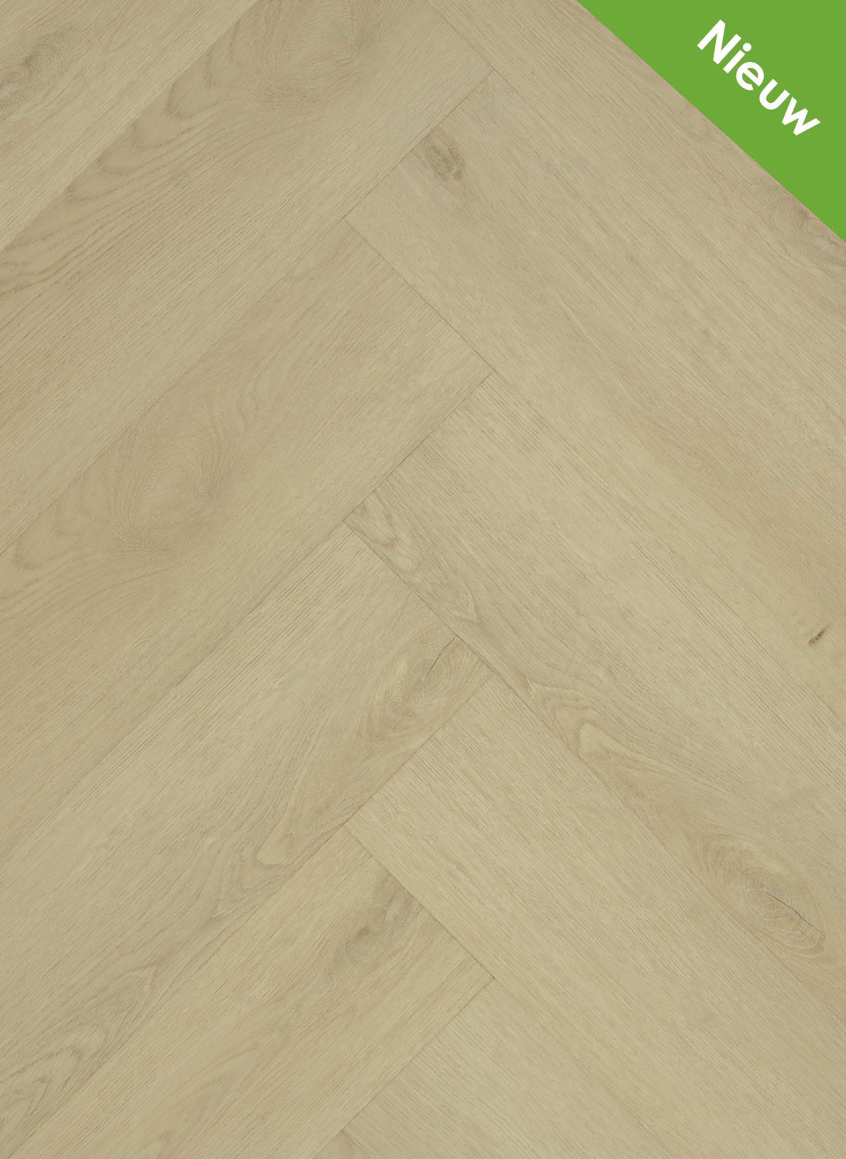 Silvolde Visgraat PL0081